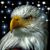 Randy Brown's profile image