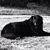 Casey Epperley's profile image