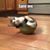 Bonnie Wilmot's profile image