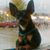 Lisa Tuey-Meyer's profile image