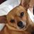 Brenda Sexauer's profile image
