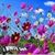 Susan Helwig's profile image