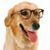 RayJune Schmidt's profile image