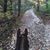 Mary Beth Mahoney's profile image