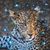 Martha Deegan's profile image