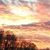 Melissa Gardner Duncan's profile image