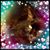 Nancy Spratt's profile image