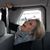 Carolyn Jackson's profile image