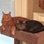 Denise Clark's profile image