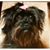 Charles James's profile image