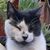Jose Lopez's profile image