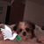 Eva Underwood's profile image