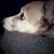 Brenda Terrell Hrywny's profile image