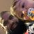 Suhail Ahmed K's profile image