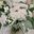 Chloe H's profile image