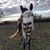 Liz Loring's profile image