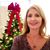 Dawn Tapper Nee's profile image