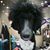 Alicia Kroth's profile image