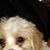Connie Moore's profile image