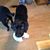Lori Bevelhymer-Sparks's profile image