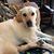 Candi Gott Schaefermeyer's profile image
