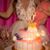 Ashley Stevenson Caudill's profile image