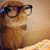 Nicole Severt's profile image