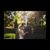 Stasia Marie's profile image