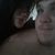 Kayla Paige Doyle's profile image