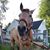 Natalie Glick Bradfield's profile image