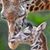 Edwinna Wright's profile image