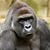 Jack Payne's profile image