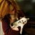 Brigid Howse's profile image