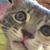 Marty Lynn's profile image
