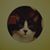 Brenda Wentorf's profile image