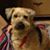 Lynne Gaither's profile image