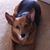 Peachie Lorenzo's profile image