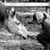 Raechelle Lynn Gretencord's profile image