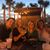 Carol Erwin's profile image