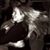 Emily Seay's profile image