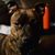 Dedrick Casab's profile image