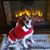 Tracy Murphy Newman's profile image