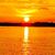 Diane Kirvan's profile image