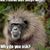 Richard Wakeland's profile image