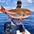 Hunter Grimm's profile image