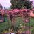 Jane Bucklin's profile image