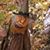 Donna Waegli's profile image