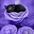 Pamela Clark-Fehl's profile image
