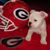 Bob Konkle's profile image
