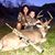 Holly Moore's profile image